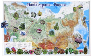 Магнитные карточки "Растения" - fgospostavki.ru - Сочи