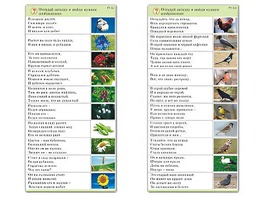 Комплект карточек (10) "Обучающий калейдоскоп. Природа" - fgospostavki.ru - Сочи