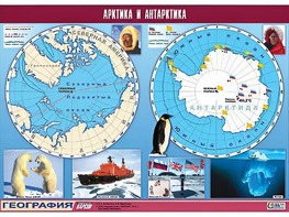 Таблица демонстрационная "Арктика и Антарктика" (винил 100*140) - fgospostavki.ru - Сочи