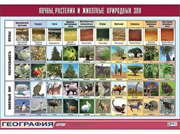 Таблица демонстрационная "Почвы, растения и животные природных зон" (винил 70*100) - fgospostavki.ru - Сочи