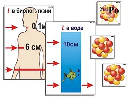 Модель-аппликация "Явление радиоактивности" (ламинированная) - fgospostavki.ru - Сочи