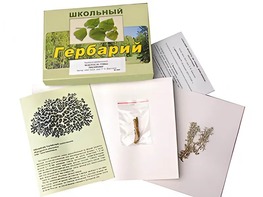 Гербарий "Водоросли. Грибы. Лишайники" (раздаточный) - fgospostavki.ru - Сочи
