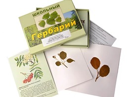 Гербарий "Систематика растений. Семейство Розоцветные" (раздаточный) - fgospostavki.ru - Сочи