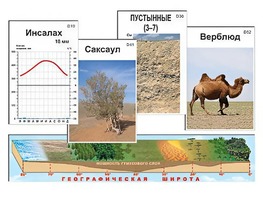 Модель-аппликация "Природные зоны" - fgospostavki.ru - Сочи