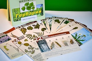 Гербарий к курсу основ общей биологии - fgospostavki.ru - Сочи