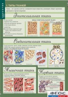 Комплект таблиц. Биология 8-9 класс. Человек. - fgospostavki.ru - Сочи
