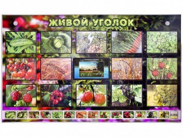 Комплект оборудования "Живой уголок" (растения) с тифлопереводом и сурдокомментариями - fgospostavki.ru - Сочи