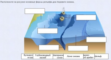 Интерактивные курсы. География 7 класс . Базовый. - fgospostavki.ru - Сочи