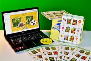 Коллекция натурально-интерактивная "Семена и плоды" - fgospostavki.ru - Сочи
