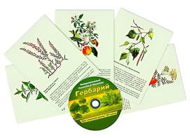Интерактивный наглядный комплекс "Гербарий "Для начальной школы" - fgospostavki.ru - Сочи