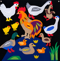 Пособие для слабовидящих детей «Домашние птицы» - fgospostavki.ru - Сочи