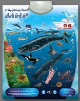 Озвученный плакат "Подводный мир" - fgospostavki.ru - Сочи