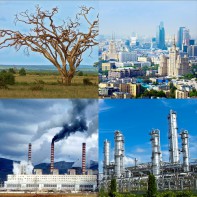 Модель-аппликация Биосфера и человек - fgospostavki.ru - Сочи