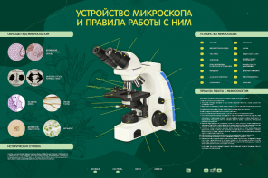 Электрифицированный стенд "Устройство микроскопа и правила работы c ним" - fgospostavki.ru - Сочи