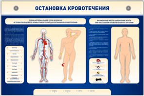 Электрифицированный стенд-тренажер "Остановка кровотечения" - fgospostavki.ru - Сочи