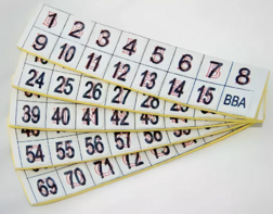 Фишки для игры «Бинго» со шрифтом Брайля - fgospostavki.ru - Сочи