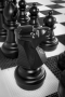 Напольные фигуры шахматные гигантские 61 - fgospostavki.ru - Сочи