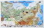 Магнитные карточки "Животные" - fgospostavki.ru - Сочи