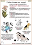 Комплект кодотранспарантов "Ядовитые растения" - fgospostavki.ru - Сочи